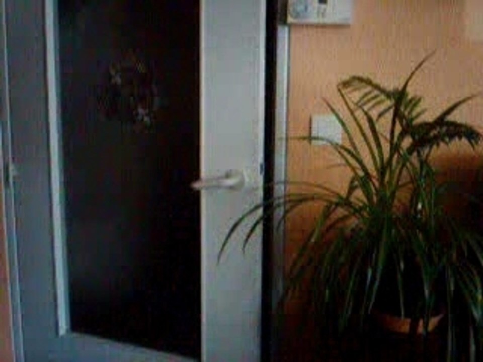 chat qui ouvre les portes