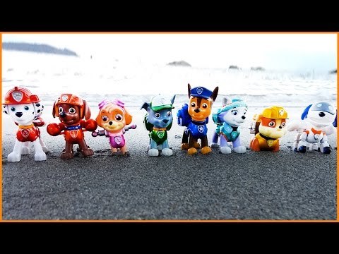 The Paw Patrol are enjoying being outside at the beach!