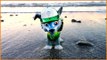 Rocky from PAW PATROL stands on the beach relaxing outside