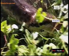 Be The Creature 8th January 2015 Video Watch Online pt1