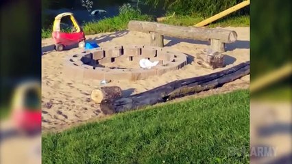 Best Fails of the Month September 2015 || FailArmy