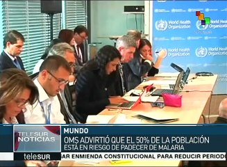 OMS: 50% de la población está en riesgo de padecer malaria