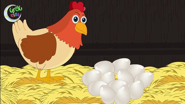 Aayi Murgi - کوٹ کوٹ کرتی آئی مرغی -Urdu Cartoons Kids Poem