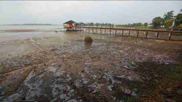 El Niño deja graves sequías en Malasia
