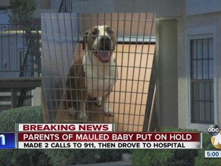 Parents of mauled baby couldn't get through to 911