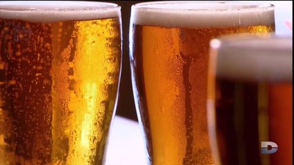 Comment la bière sauva le monde ? (documentaire bière 2016) (FR)