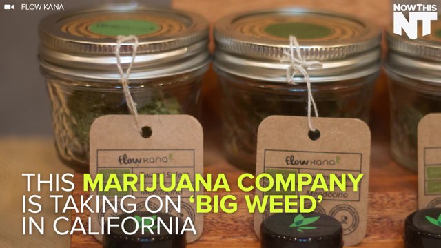 This Company Wants To Protect Small Farmers From Big Weed