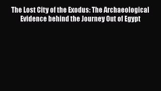 [Read Book] The Lost City of the Exodus: The Archaeological Evidence behind the Journey Out