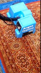 Nettoyage tapis à domicile Michel Dias