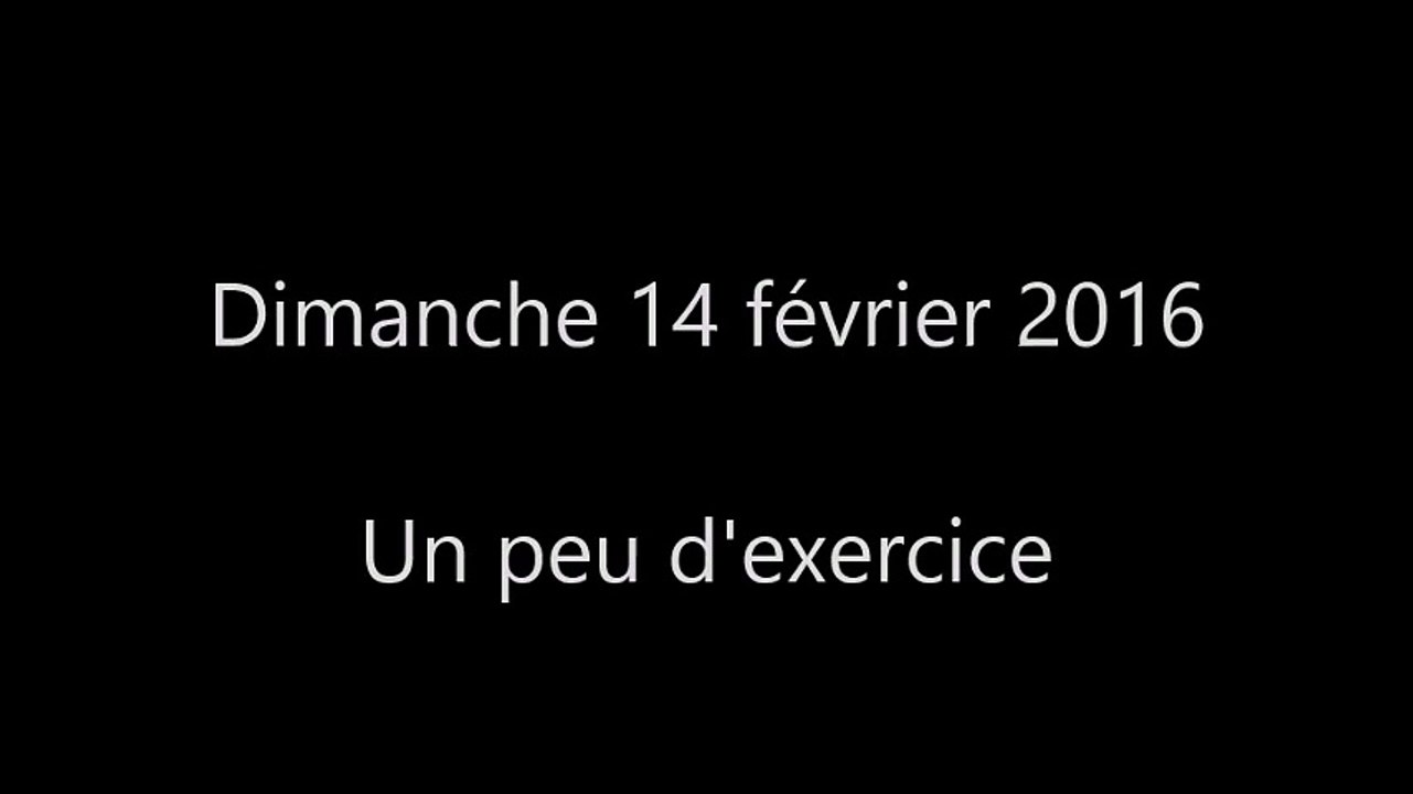 2016.02.14 - Les petits loulous sautent