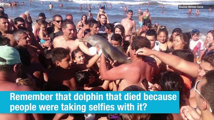 El Pulso | 10 horrifying illustrations where animals and human swap roles | [-T-e-l-e-m-u-n-d-o-]