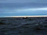 Kayak Fishing Sandy Hook Bay 9/20/15