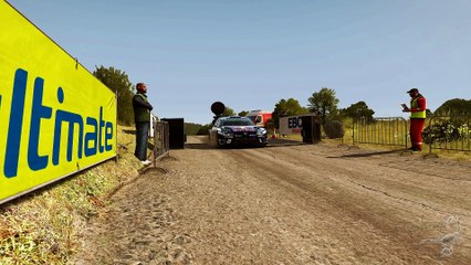 VW Polo wrc