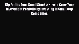 Download Big Profits from Small Stocks: How to Grow Your Investment Portfolio by Investing