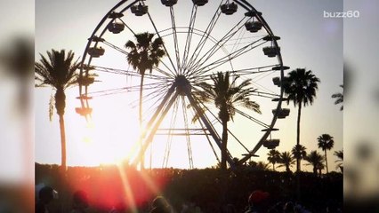 The Cure For Your Festival Hangover