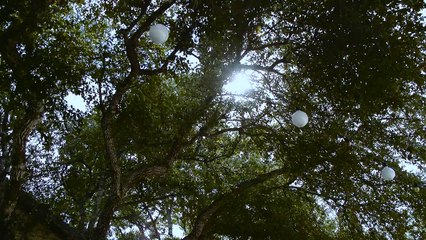 It’s Full Speed Ahead for the Biomimicry Global Design Challenge Accelerator Teams | Ray C. Anderson Foundation