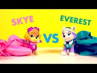 Download Video: Skye VS Everest in the Paw Patrol Balloon Color Counting Challenge