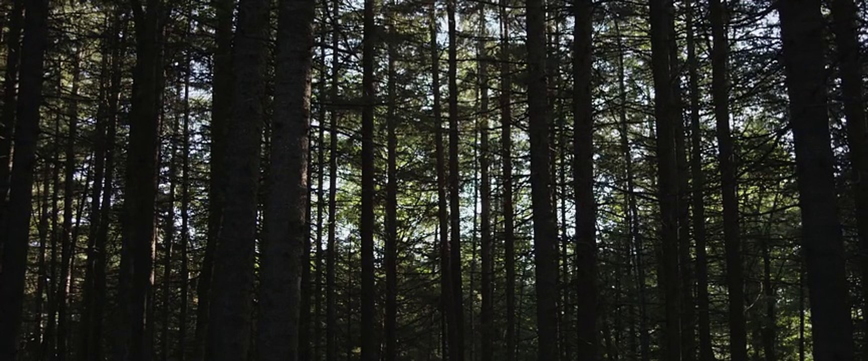 Here Alone (2016) Teaser Trailer