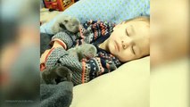 Tiny puppies snuggle up with adorable toddler for a nap