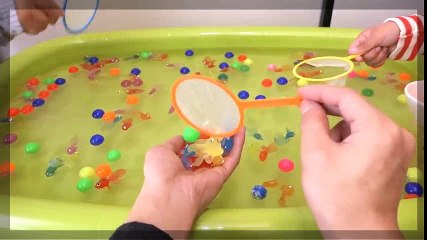 La hermana de enfrentamiento de peces de colores y una super ball. | HD