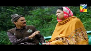 Gul E Rana Episode 16 Full on HUM TV - 20 February 2016