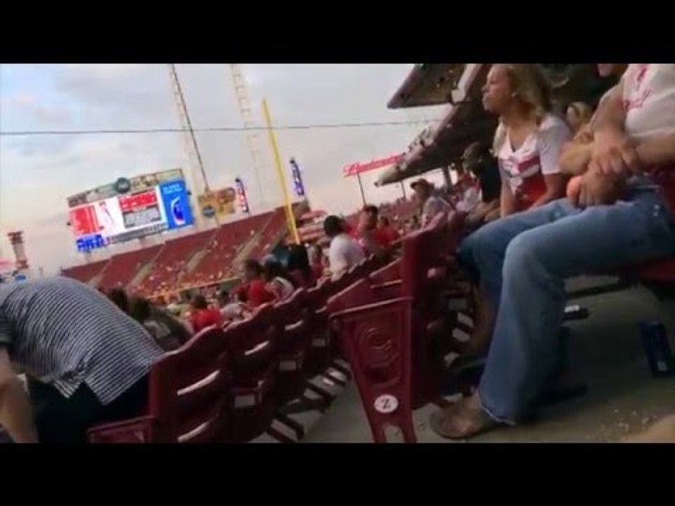 Baseball Fan Screams Votto's Name