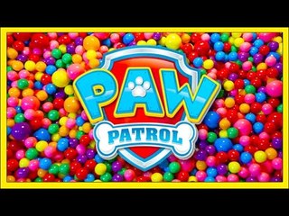 PAW PATROL Surprise Toys found inside a candy ocean!