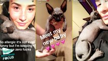 Demi Lovato Introduces Her New Cat on Snapchat
