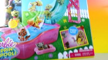 Barbie Flippin Pup Pool party with Magic Orbeez with Chelsea doll and puppies