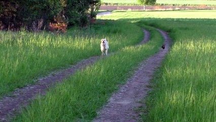 Wait for me, I have little legs!