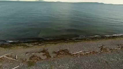 A True Boaters Paradise in Point Roberts, Washington