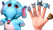 Wild Animal Sounds Finger Family Children Songs - Nursery Rhymes For Kids With Lyrics - 3D Nursery Rhymes For Children