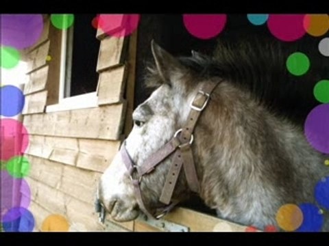 Mimie ma ponette adore