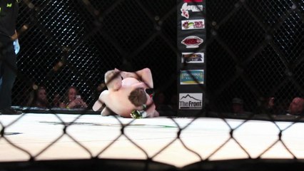 IFC 24: Conall Powers vs. Richard Kohlman