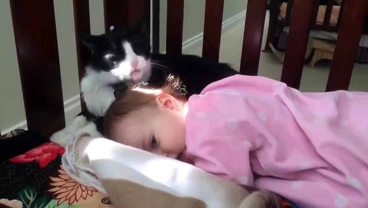 Cat Licks Baby In Cribd-funny videos for kids