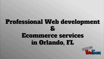 Professional Web development & Ecommerce services in Orlando, FL