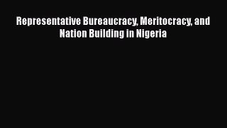 Book Representative Bureaucracy Meritocracy and Nation Building in Nigeria Read Full Ebook