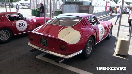 Best Sports Car Ferrari 275 GTB C Incredible V12 Sound On Track