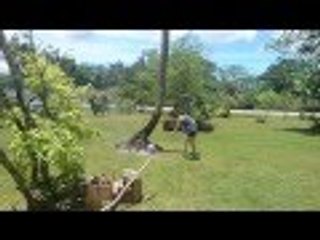 Burning  School Shirts