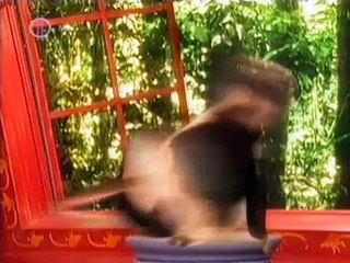 Állatkert a hátizsákban 27 - Gyors és lassú - video Dailymotion