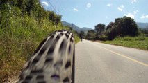 Mountain bike, Soul aro 29. 24 marchas, rumo as trilhas das onças, 80 km, 48 bikers, Pindamonhangaba, SP, Brasil, Marcelo Ambrogi, (18)