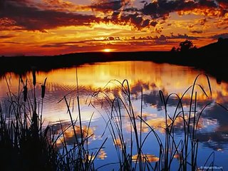 Sawfa nab9a houna  -  سوف نبقى هنا