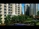 Luxury Flats Near chandigarh
