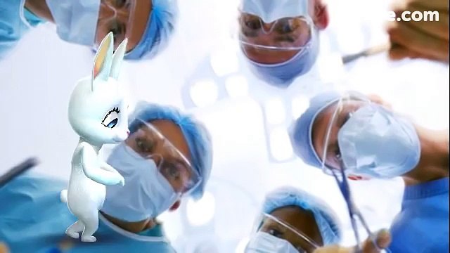 Zoobe Зайка Есть 4 вида врачей