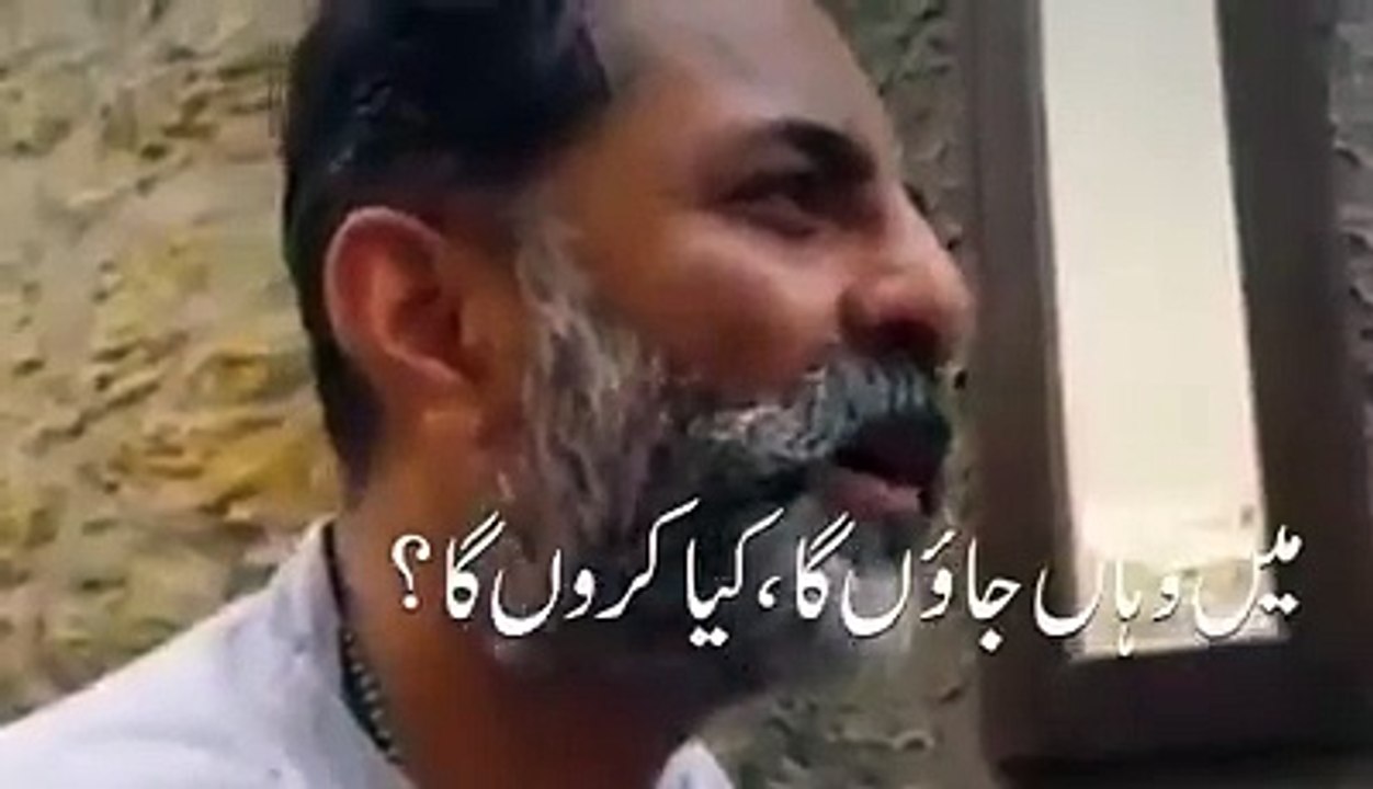 Real LIfe Meaning Amazing Video