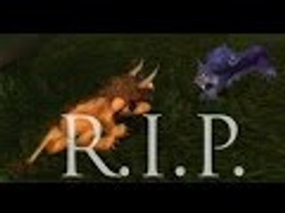 Feral 2's and a suprising 1v2