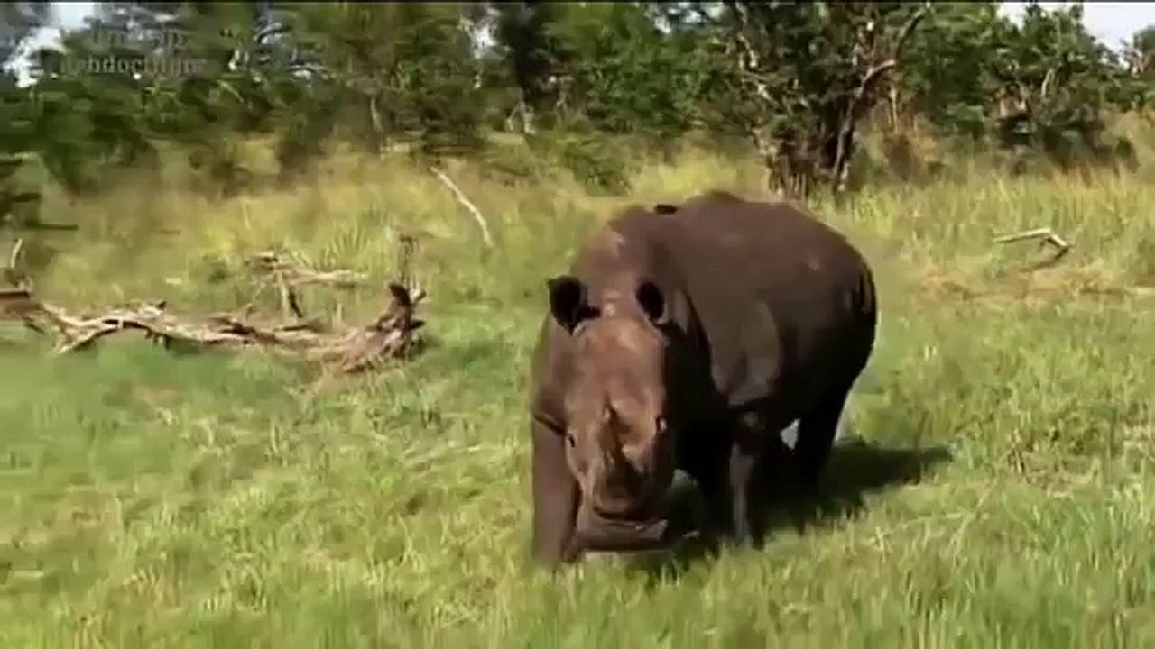 Donald Trump  Presidential Election Candidate one the  (55)