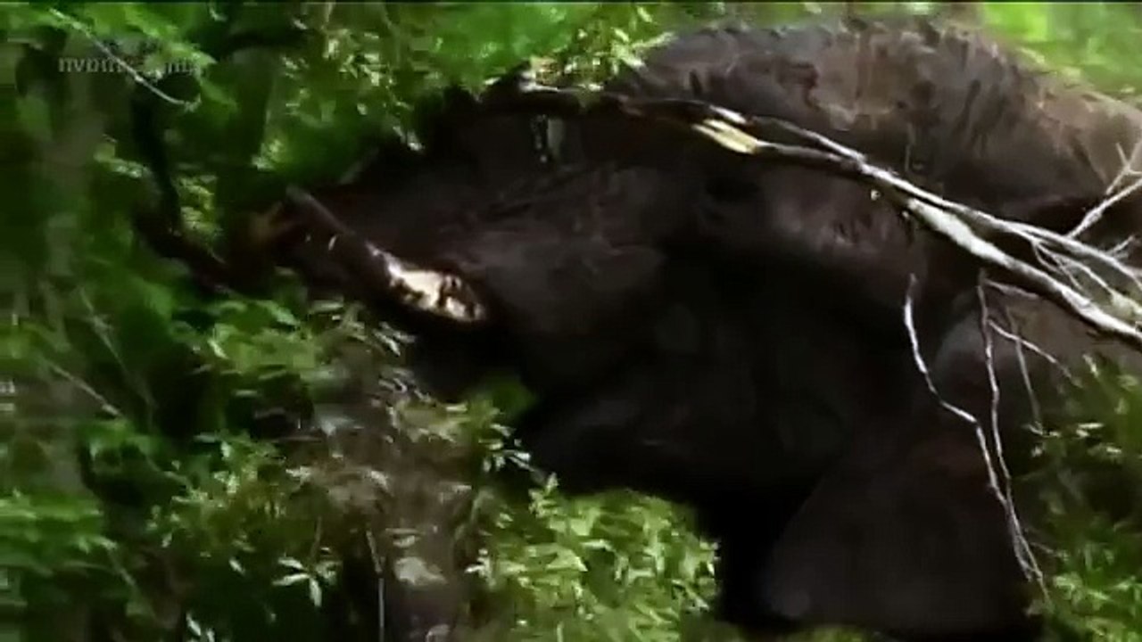 Donald Trump  Presidential Election Candidate one the  (56)