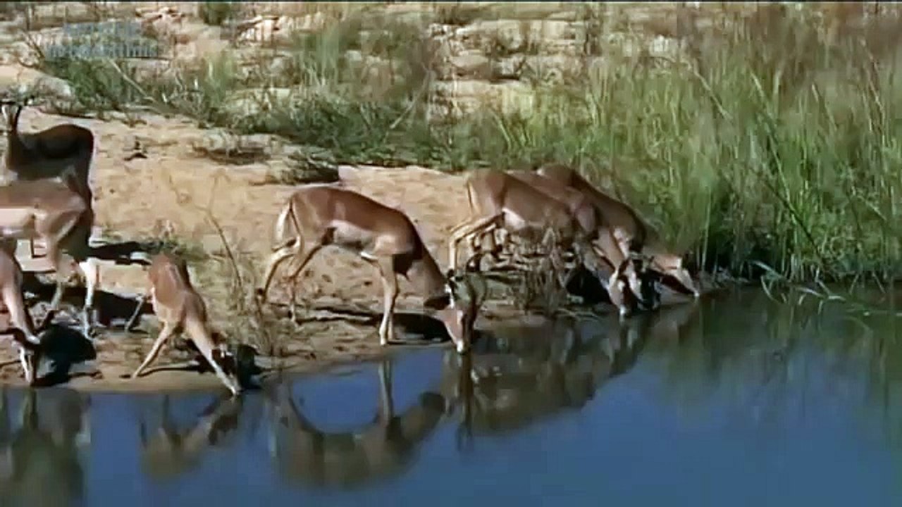 Donald Trump  Presidential Election Candidate one the  (57)