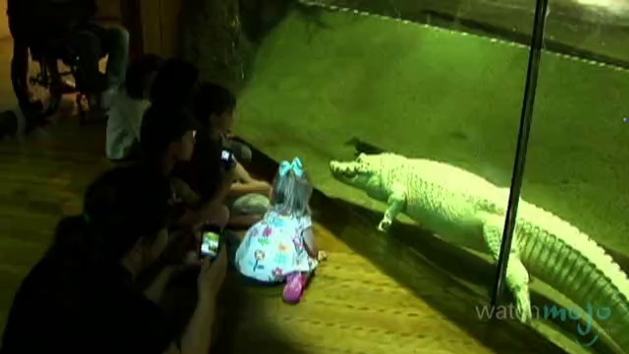 Family-Friendly Travel to New Orleans